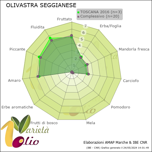 Profilo sensoriale medio della cultivar  TOSCANA 2016